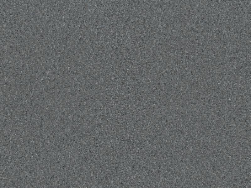 Autopotahy-aston_camel_10046